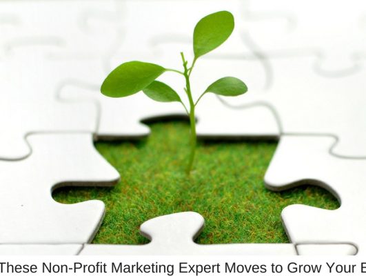 Steal These Non-Profit Marketing Expert Moves to Grow Your Business