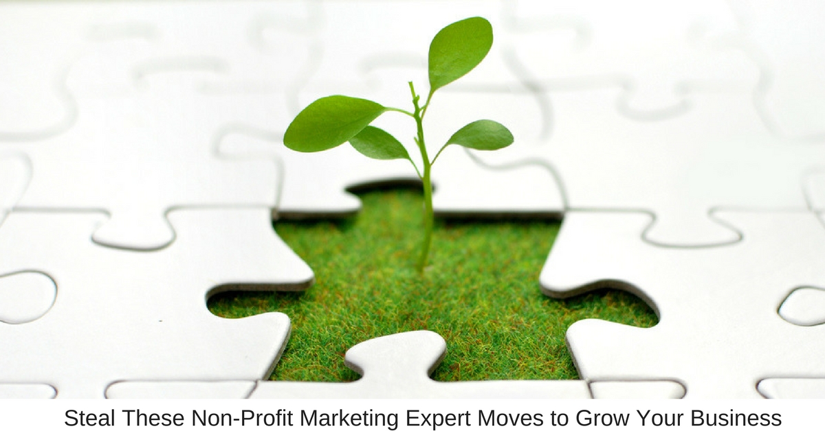 Steal These Non Profit Marketing Expert Moves to Grow Your Business