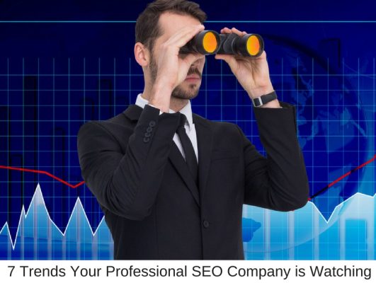 7 Trends Your Professional SEO Company is Watching